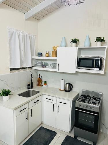 Entire Home - West Coast Barbados in Speightstown