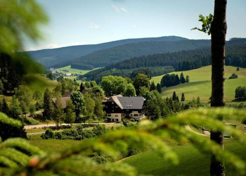 B&B Titisee-Neustadt - Kuckucksnest Jostal - Bed and Breakfast Titisee-Neustadt