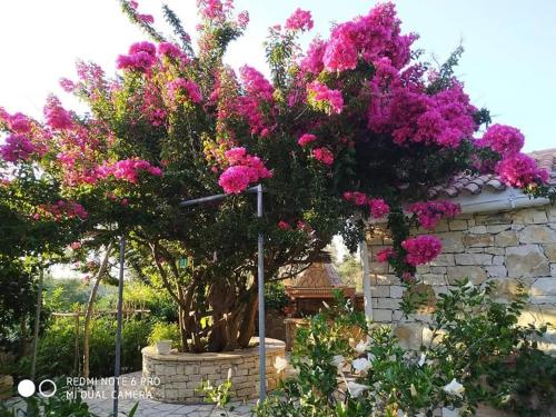 Villa Loulaki 4
