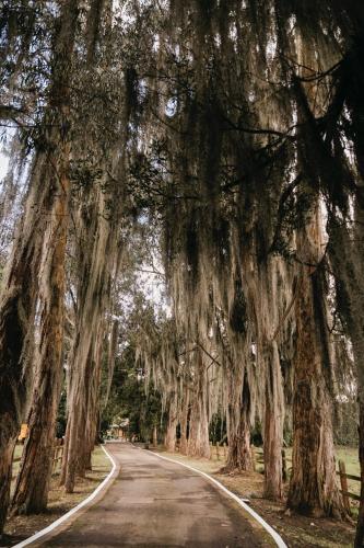 المنطقة المحيطة, Hacienda Campestre en Sopó (Hacienda Campestre en Sopo) in Sopo