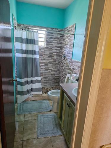 Apartment Pares Main Road One Bedroom Apt#3 in Parham