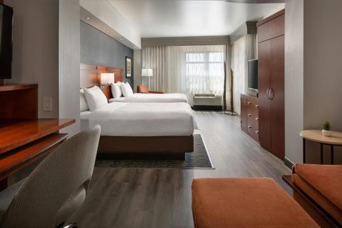 Junior Queen Suite with Sofa Bed