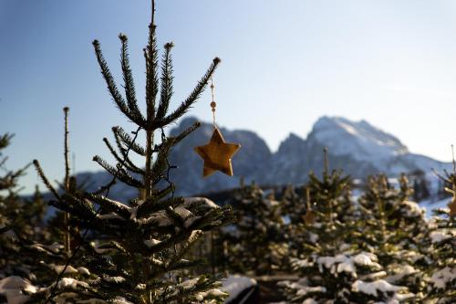 Alpina Dolomites - image 9