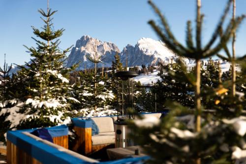 Alpina Dolomites - image 3