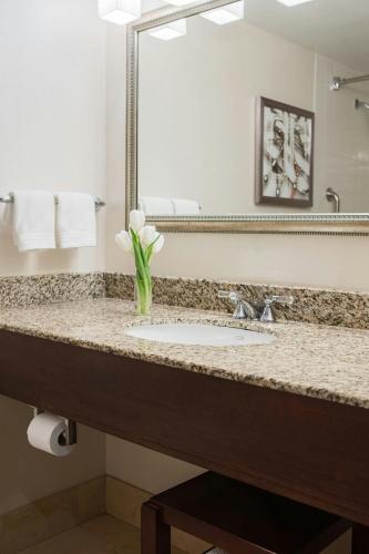 Renaissance Newark Airport Hotel - image 13