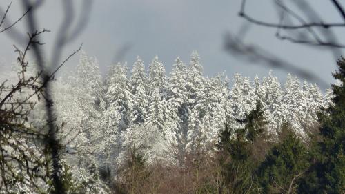 Haus Wald-Eck