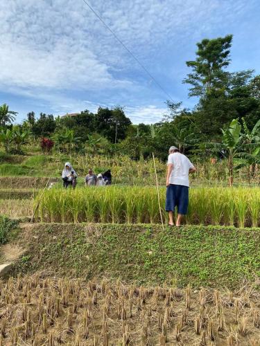 Omahkayu in Puncak
