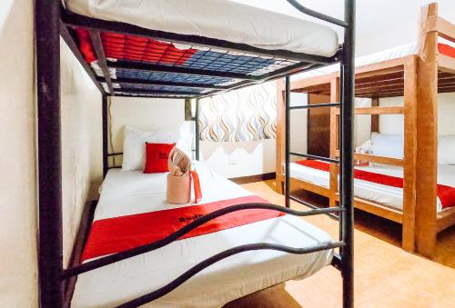 RedDoorz at Gaeas Apartment Panglao Room Type - Mixed Dormitory Room
