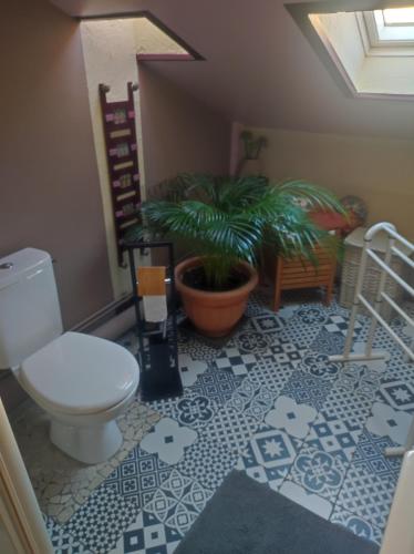 hô choucas hô choucas