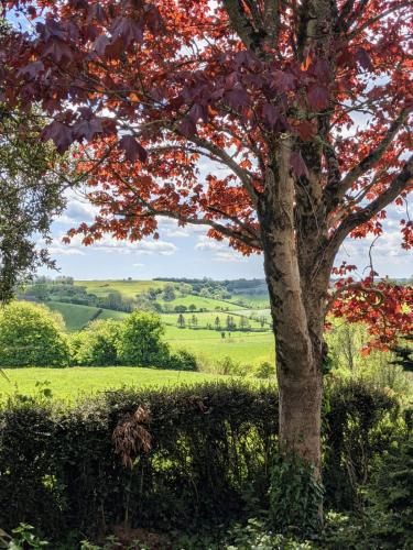 View, Keeper’s Cottage in Montacute