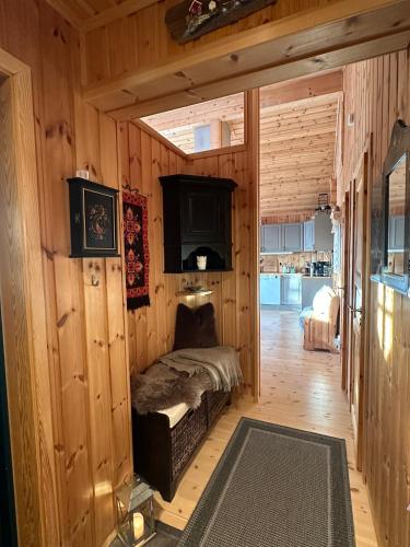 Cabin at Furutangen - 3 bedroom family cabin, Åmot (foto 2)