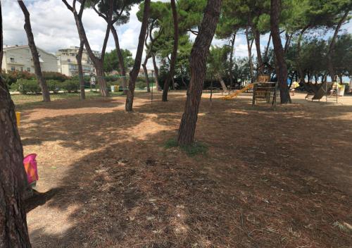 Al Mare, Pineto (foto 2)