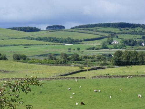 Airds Farm Guest House