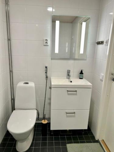 Two rooms with city views, Helsinki (photo 9)