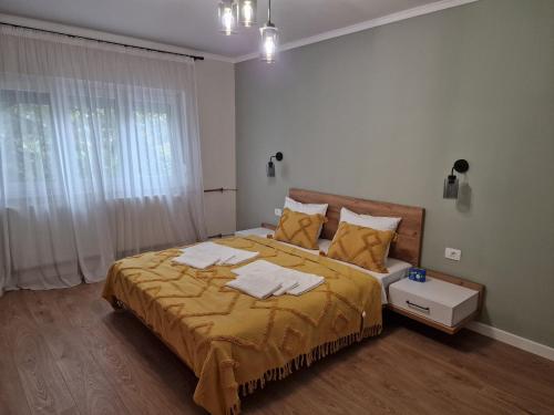 Apartament Alena Oradea