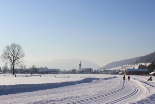 Ferienwohnung Meusburger in ฮิททิเซา