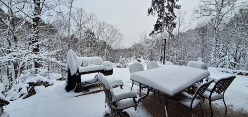 Lazy Bear Cabin in Sevierville, USA