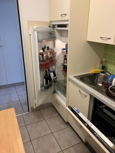 Holiday Apart 60m2 in leukerbad in Leukerbad