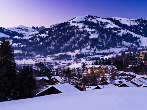 Park Gstaad - Hotel