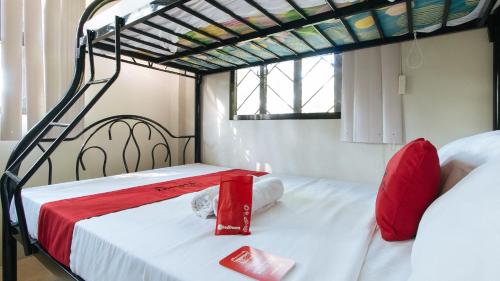 4-Bed Mixed Dormitory Room image 4