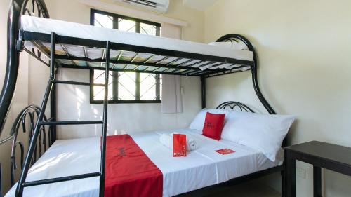 4-Bed Mixed Dormitory Room image 1