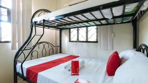 4-Bed Mixed Dormitory Room image 2