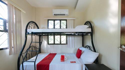 4-Bed Mixed Dormitory Room image 3