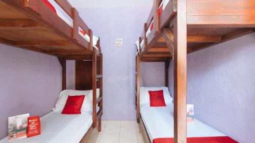 6-Bed Mixed Dormitory Room image 6