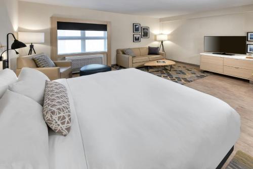 1 king bed, 1 sofa bed