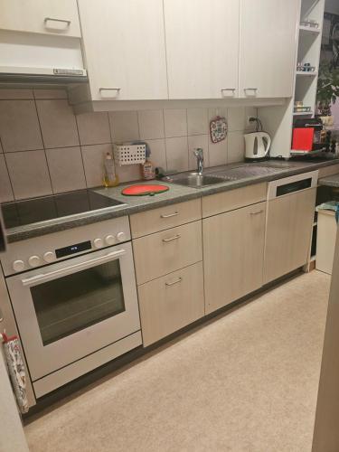 3 und halb zimmer Wohnung Birsfelden in بيرسفيلدين