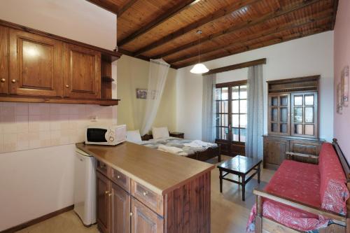 Nikos - Dimitris Pool Apartments 3