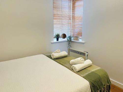 Cosy Flat at Temple Bar Dublin, Dublino (foto 11)
