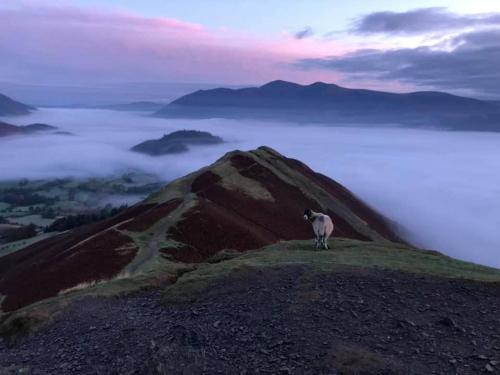 Rivendell Guest House – Keswick