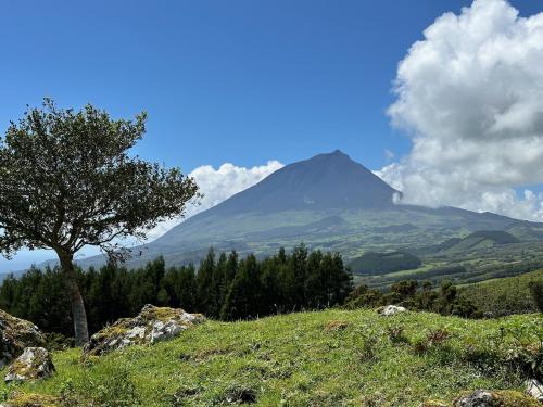 ที่เที่ยวใกล้ที่พัก, Casa das Duas Ribeiras in ลาเชส โด ปิโก