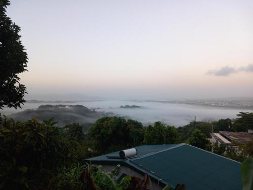 Pomme Cannelle in Le Lamentin