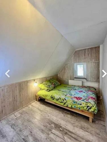 Apartament Wilk