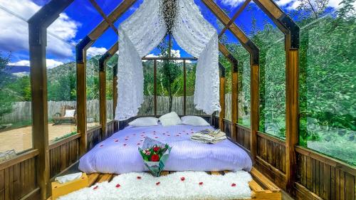 Chalet en verre sous une pluie étoilée gîte à louer Peïra-Cava