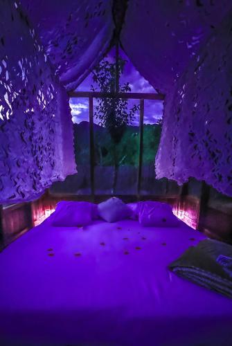 Chalet en verre sous une pluie etoilee