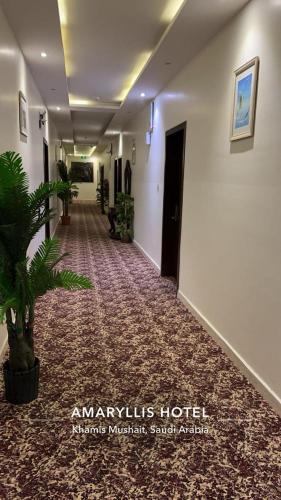 AMAR-LiS, Chamis Muschait (Foto 10)