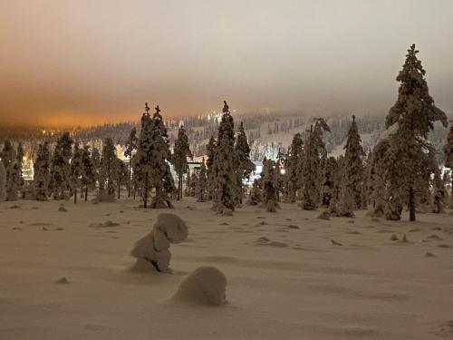 Fokus, Syöte (foto 10)