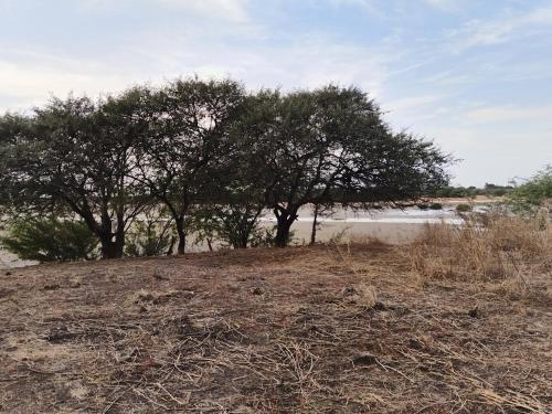 La Yayemoise in Fimela