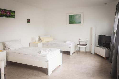 Pension Nickel Ferienwohnung I Waldstraße 18 Alsbach-Hahnlein in Alsbach