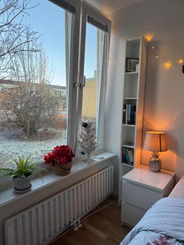 Comfortable Private Rooms in a Modern Apartment Comfortable Private Rooms in a Modern Apartment