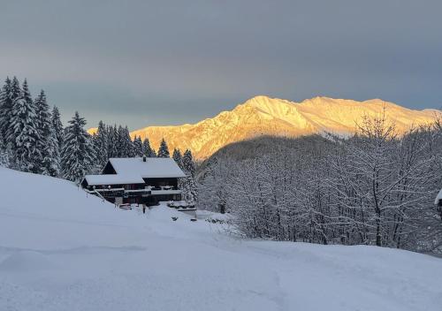 Bergpension Battagliahütte - Malix