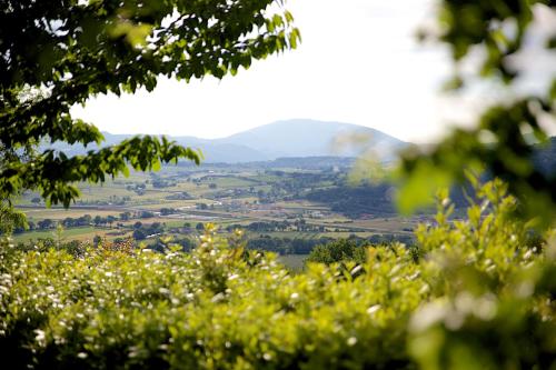 Agriturismo Le Colombe Assisi