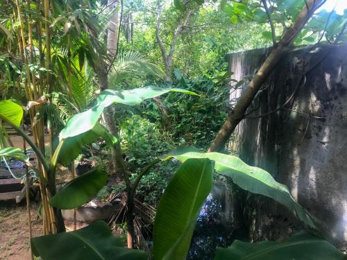 Double Room with Garden View image 7