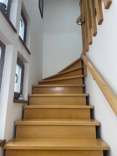 Studio nr 5 Studio nr 5