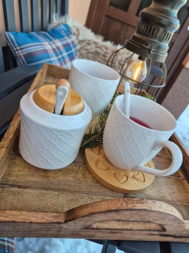 Apartmán U Javoru (Apartman U Javoru) in Kraliky