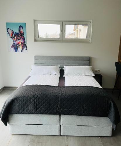 Time Apartment, Osnabrück (fotografie 3)