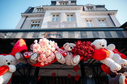 Hotel Splendid, Pleven (foto 4)